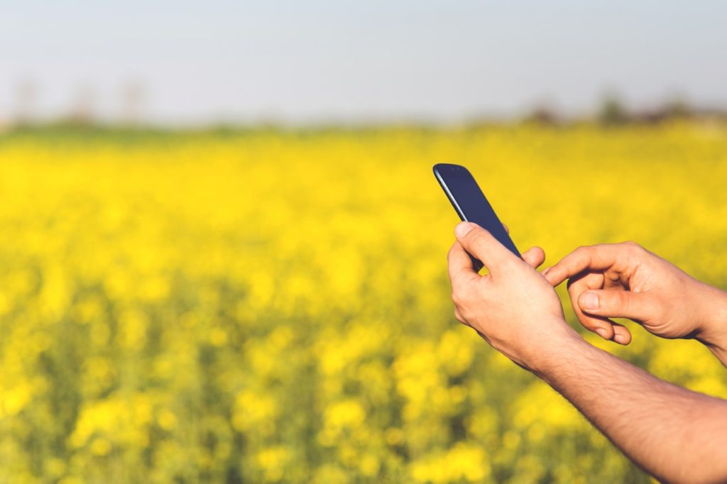 uomo usa smartphone per cercare vendita diretta di prodotti agricoli